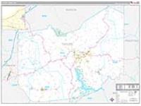 Taylor, Wv Carrier Route Wall Map