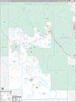 Teller, Co Carrier Route Wall Map