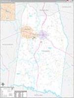 Toombs, Ga Carrier Route Wall Map