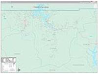 Towns, Ga Carrier Route Wall Map