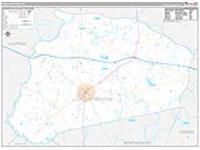 Treutlen, Ga Carrier Route Wall Map
