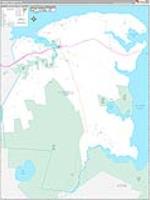 Tyrrell, Nc Carrier Route Wall Map