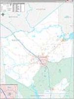 Walker, Tx Carrier Route Wall Map