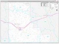 Walthall, Ms Carrier Route Wall Map