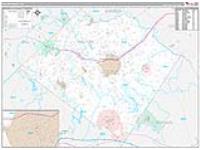 Walton, Ga Carrier Route Wall Map