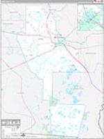 Ware, Ga Carrier Route Wall Map