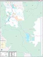 Wasatch, Ut Carrier Route Wall Map