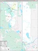 Washoe, Nv Carrier Route Wall Map