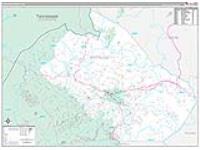 Watauga, Nc Carrier Route Wall Map