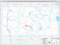 Waushara, Wi Carrier Route Wall Map