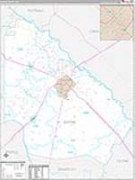 Wayne, Ga Carrier Route Wall Map