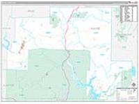 Wayne, Mo Carrier Route Wall Map