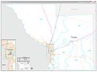 Webb, Tx Carrier Route Wall Map