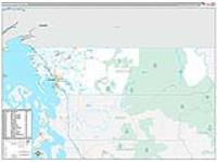 Whatcom, Wa Carrier Route Wall Map