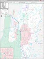 Whitfield, Ga Carrier Route Wall Map