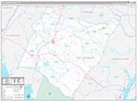 Williamsburg, Sc Carrier Route Wall Map