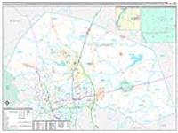 Williamson, Tx Carrier Route Wall Map