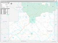 Winston, Ms Carrier Route Wall Map