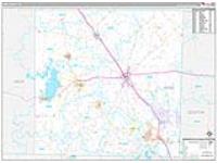 Wise, Tx Carrier Route Wall Map
