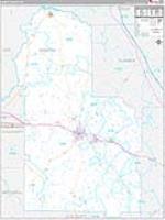 Worth, Ga Carrier Route Wall Map