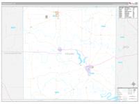 Young, Tx Carrier Route Wall Map