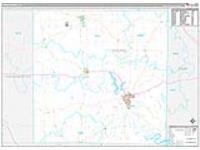Young, Tx Carrier Route Wall Map