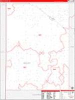 Bailey, Tx Carrier Route Wall Map