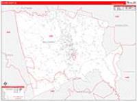 Baldwin, Ga Carrier Route Wall Map