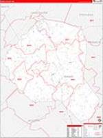 Banks, Ga Carrier Route Wall Map