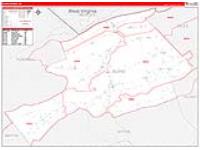 Bland, Va Carrier Route Wall Map