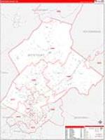 Botetourt, Va Carrier Route Wall Map