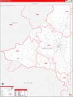 Bradford, Fl Carrier Route Wall Map