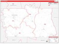 Calhoun, Ga Carrier Route Wall Map