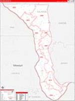 Calhoun, Il Carrier Route Wall Map