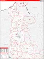 Cayuga, Ny Carrier Route Wall Map
