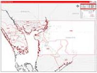 Charlotte, Fl Carrier Route Wall Map