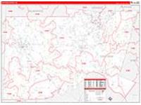 Chatham, Nc Carrier Route Wall Map