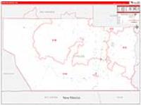 Conejos, Co Carrier Route Wall Map