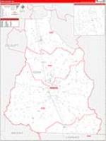 Cook, Ga Carrier Route Wall Map