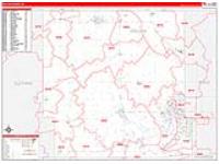 Dallas, Ia Carrier Route Wall Map