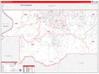 Desoto, Ms Carrier Route Wall Map