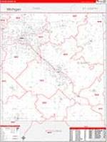 Elkhart, In Carrier Route Wall Map