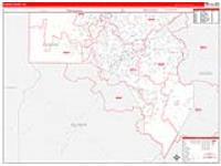 Fannin, Ga Carrier Route Wall Map