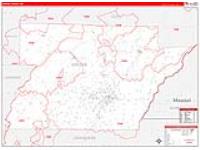Greene, Ar Carrier Route Wall Map