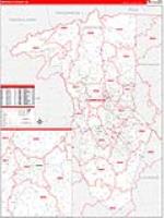 Greenville, Sc Carrier Route Wall Map