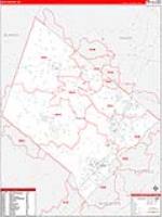 Hays, Tx Carrier Route Wall Map