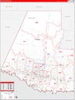 Hidalgo, Tx Carrier Route Wall Map