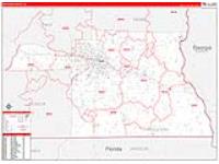 Houston, Al Carrier Route Wall Map