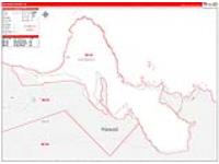 Kalawao, Hi Carrier Route Wall Map