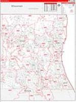 Lake, Il Carrier Route Wall Map